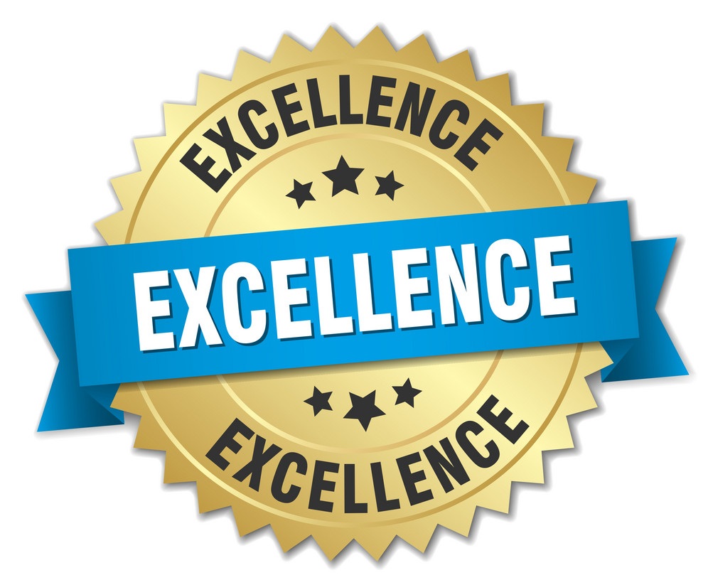 Project Excellence & Timely Delivery